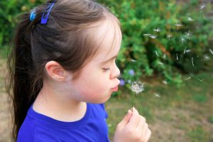 A young girl with Down syndrome blows a dandelion outside.